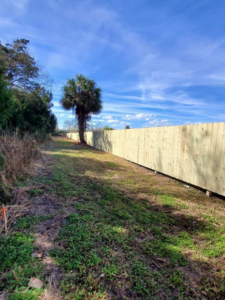 A concrete fence surrounds a grassy field with a palm tree in the background.
