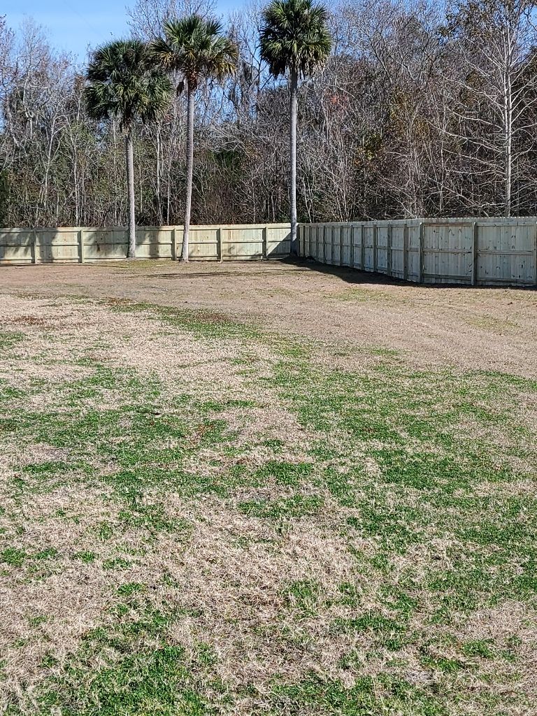 A large grassy field with a fence and palm trees in the background.