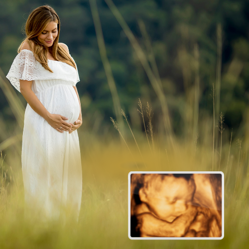 Pregnant women photographed in Nature with an elective 3d Ultrasound picture separate on the bottom