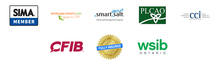 Different Client Association Logo | Guelph, ON | Nu Image