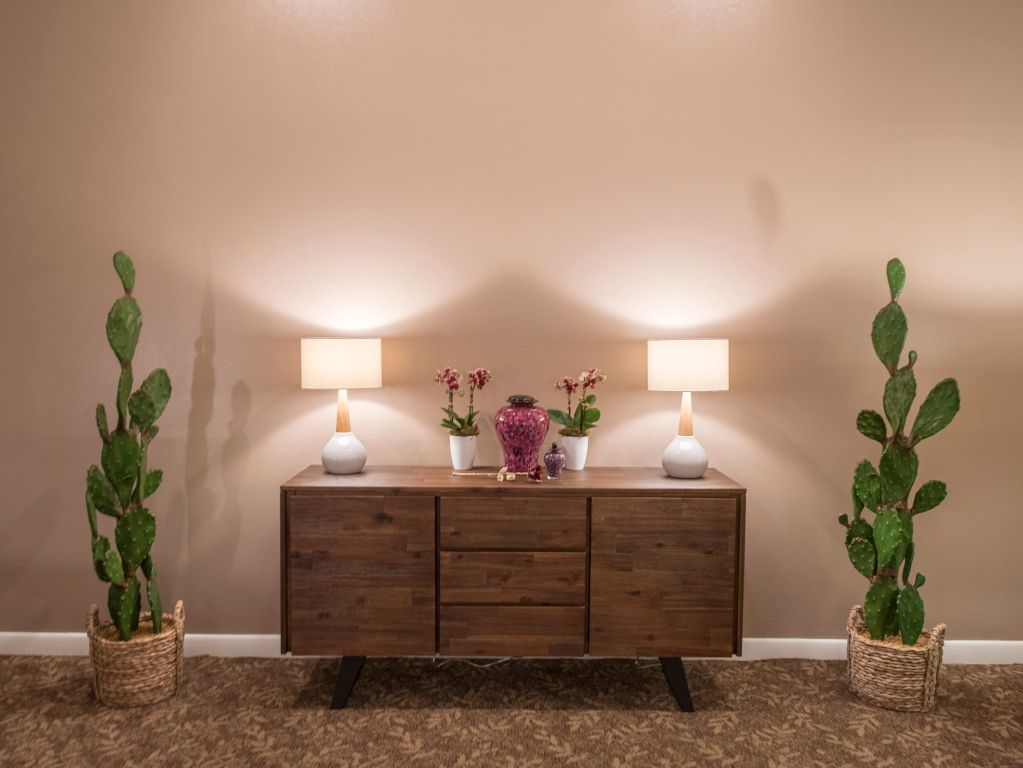 Two cactus plants are sitting next to a wooden dresser in a living room.