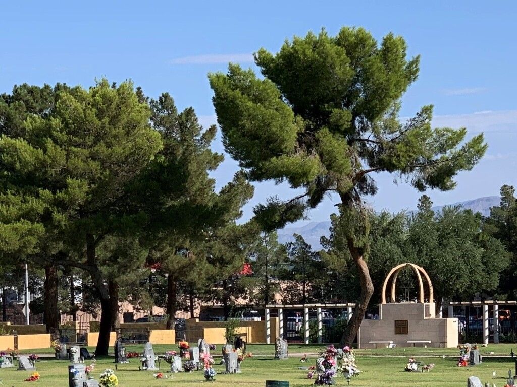 A cemetery with a large pine tree in the middle