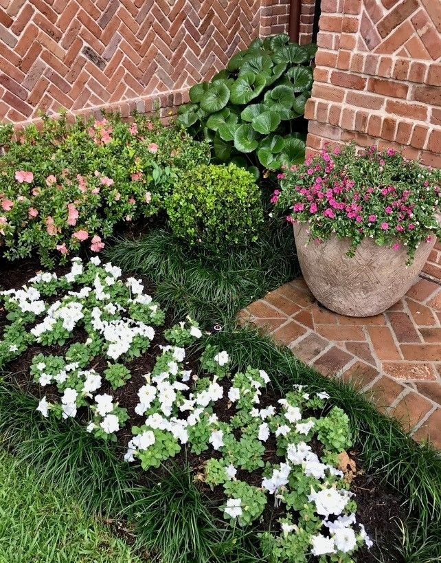 Landscape Maintenance Houston