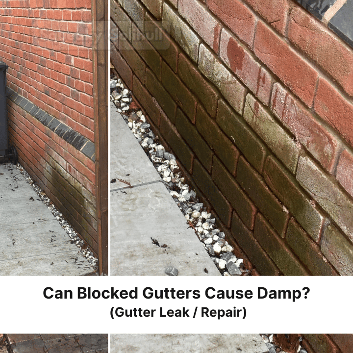 Water-damaged brick wall, possibly due to blocked gutters. Showing dark damp patches and staining.
