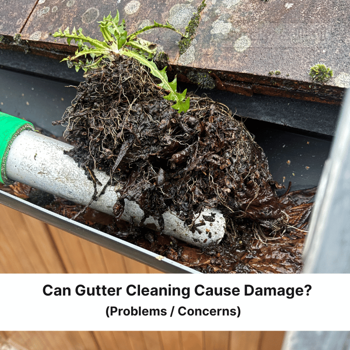 A clogged gutter with a large clump of debris, including a plant, being cleaned with a tool.