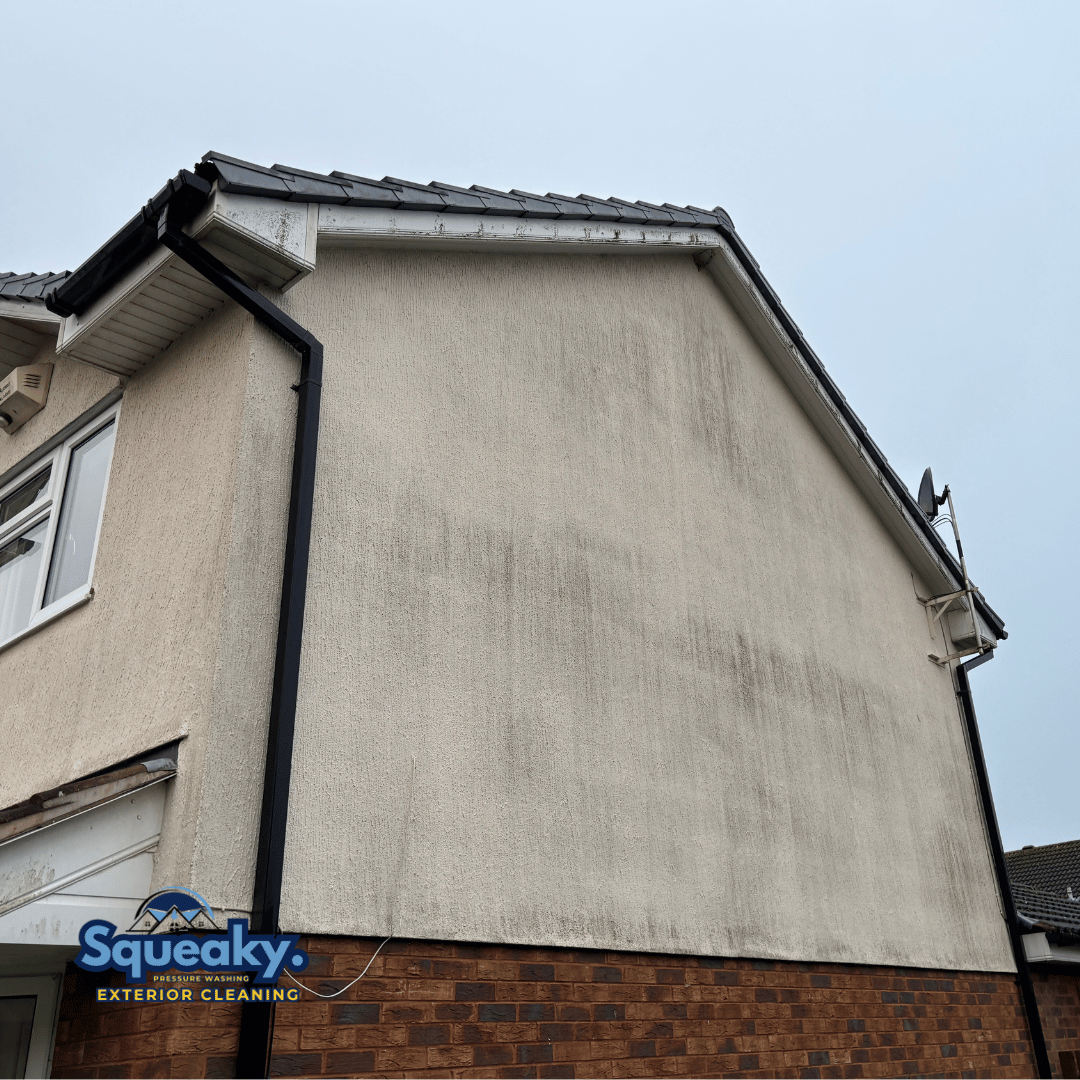K-rend render cleaning with black algae staining before cleaning in solihull