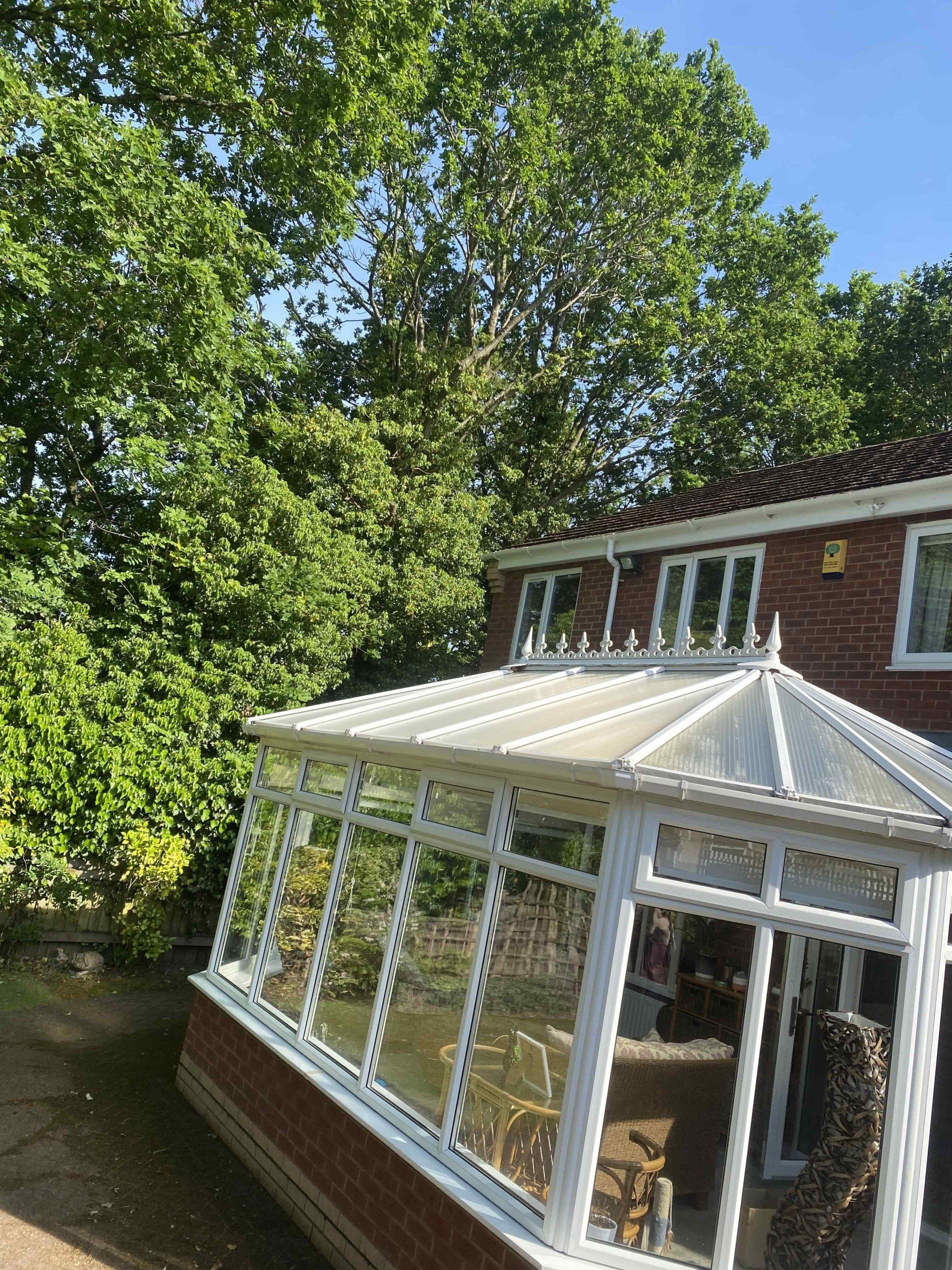 Cleaned conservatory rood in Solihull under trees