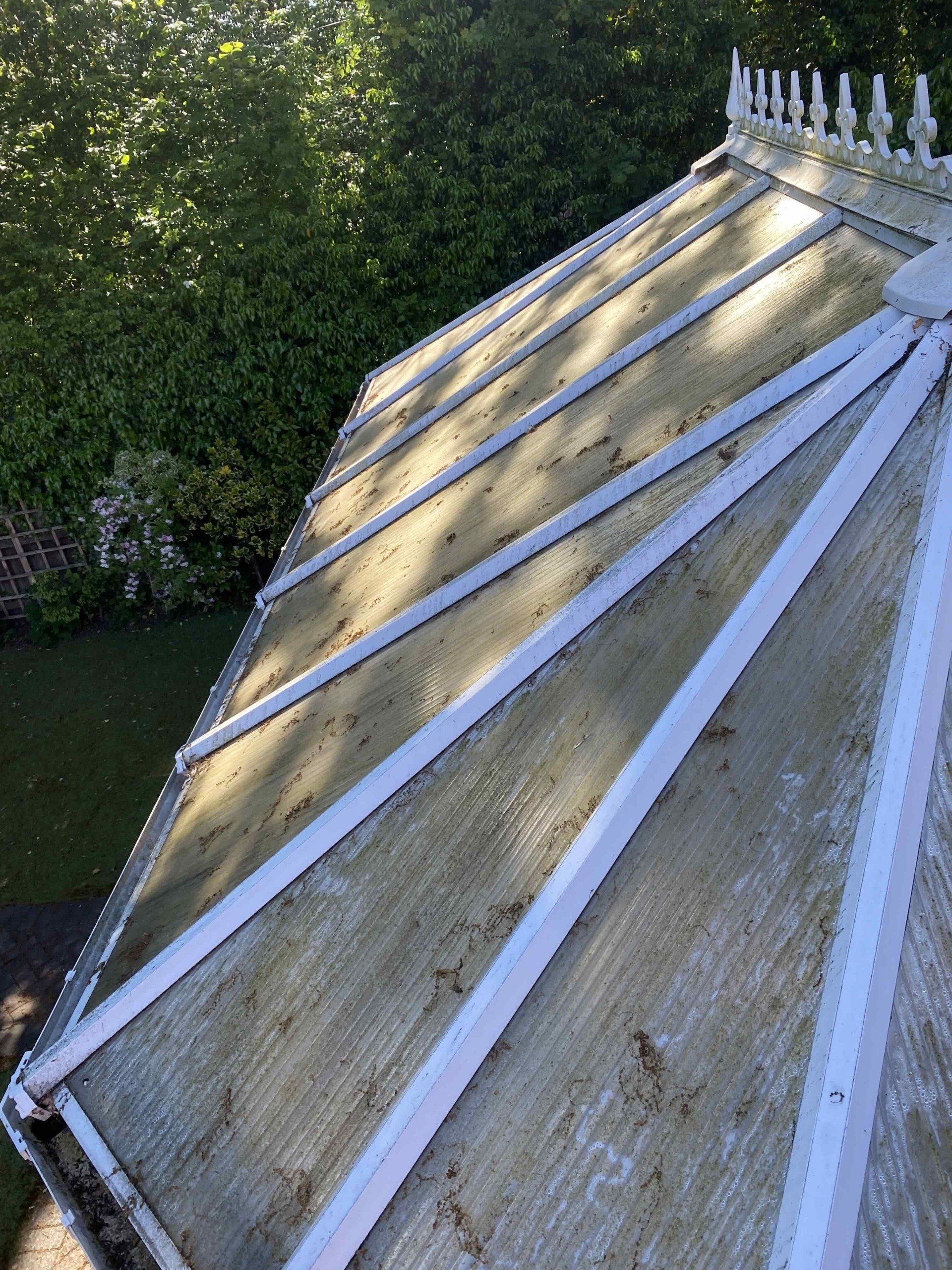 Before conservatory roof cleaning in Solihull covered in green algae 