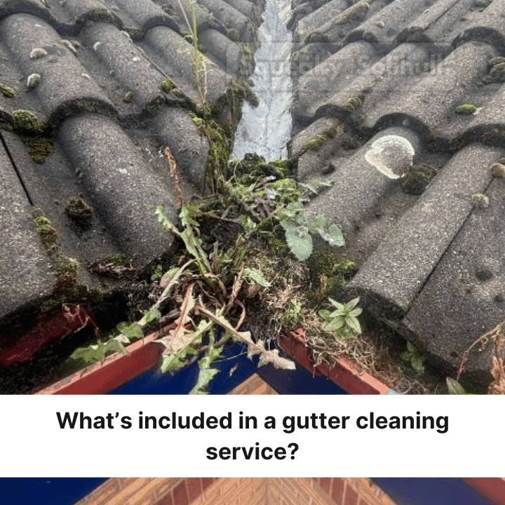 A clogged, moss-covered roof gutter filled with weeds and debris, with text below asking what a cleaning service includes.