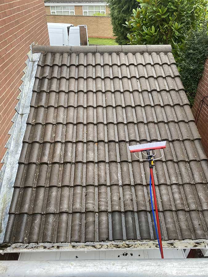Roof after steam cleaning applying softwash to remove spores
