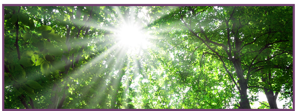 If you need a psychologist in Warwickshire or Coventry, in Leamington Spa call Changing Perspectives Rays