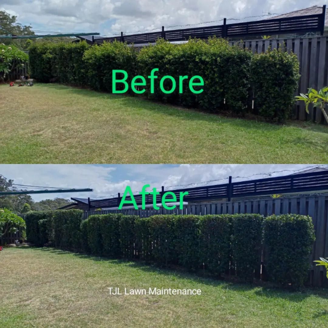 A Before And After Picture Of A Lawn With A Fence And Bushes — TJL Lawn Maintenance in Port Macquarie, NSW
