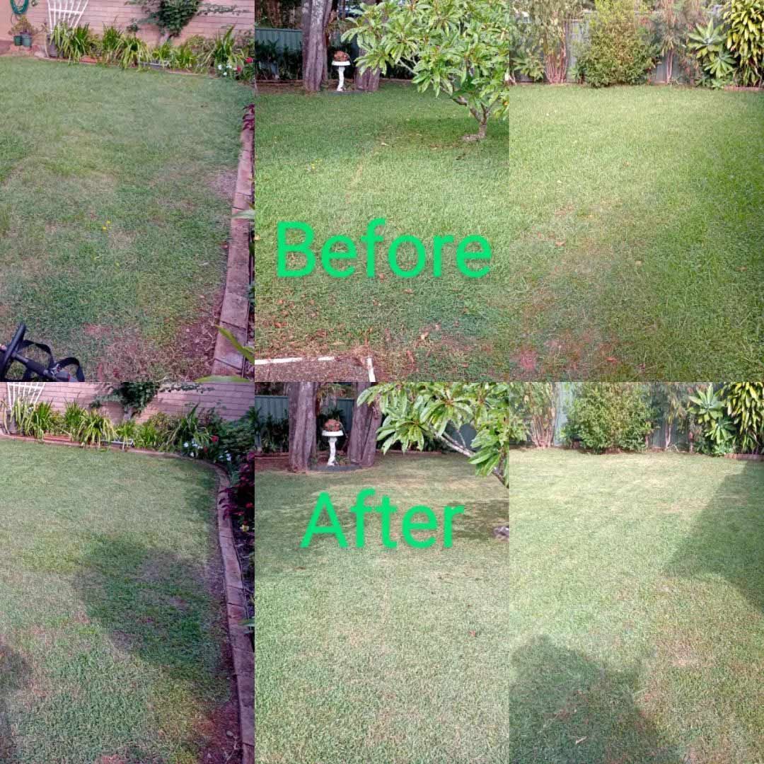 A Before And After Picture Of A Lush Green Lawn — TJL Lawn Maintenance in Port Macquarie, NSW
