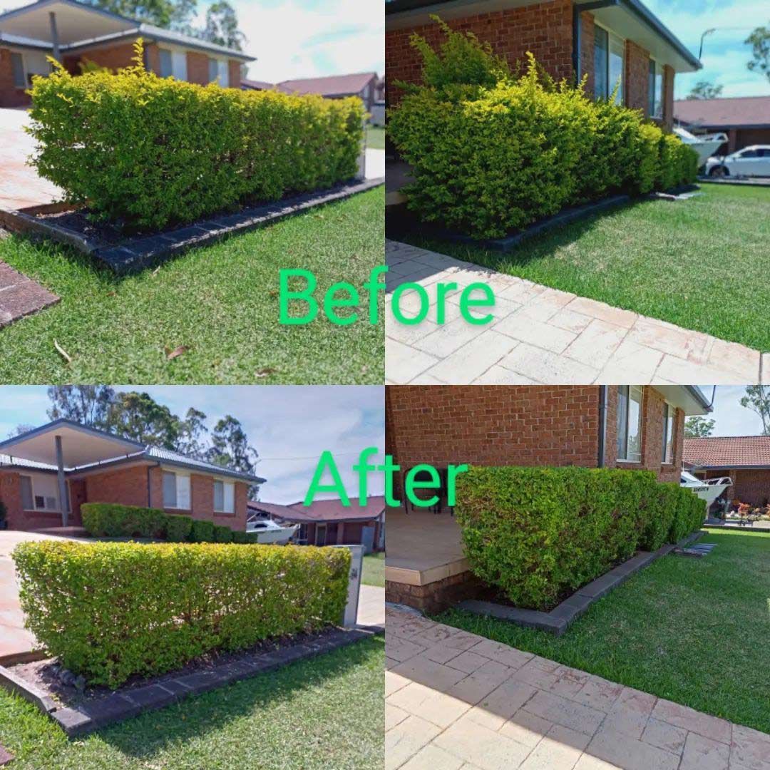 A Before And After Picture Of A Lawn With A House In The Background — TJL Lawn Maintenance in Port Macquarie, NSW