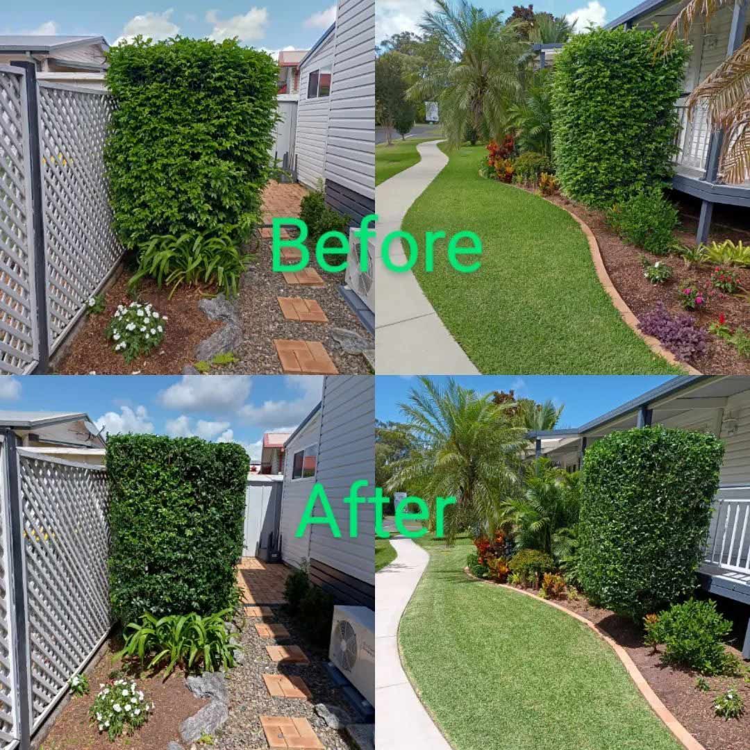 A Collage Of Before And After Pictures Of A Garden — TJL Lawn Maintenance in Port Macquarie, NSW