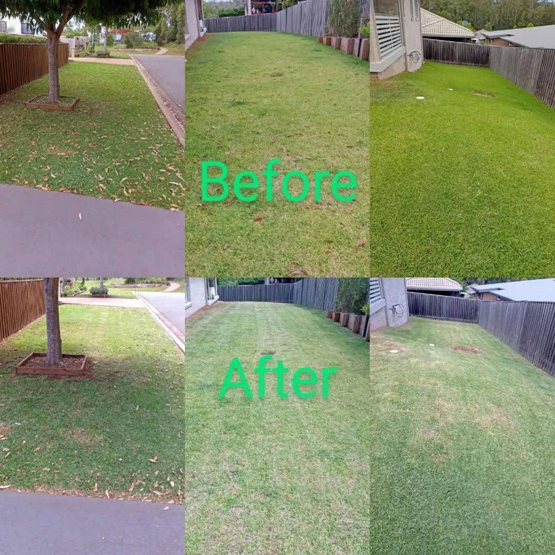 A Collage Of Pictures Of A Lawn Before And After Being Mowed — TJL Lawn Maintenance in Port Macquarie, NSW