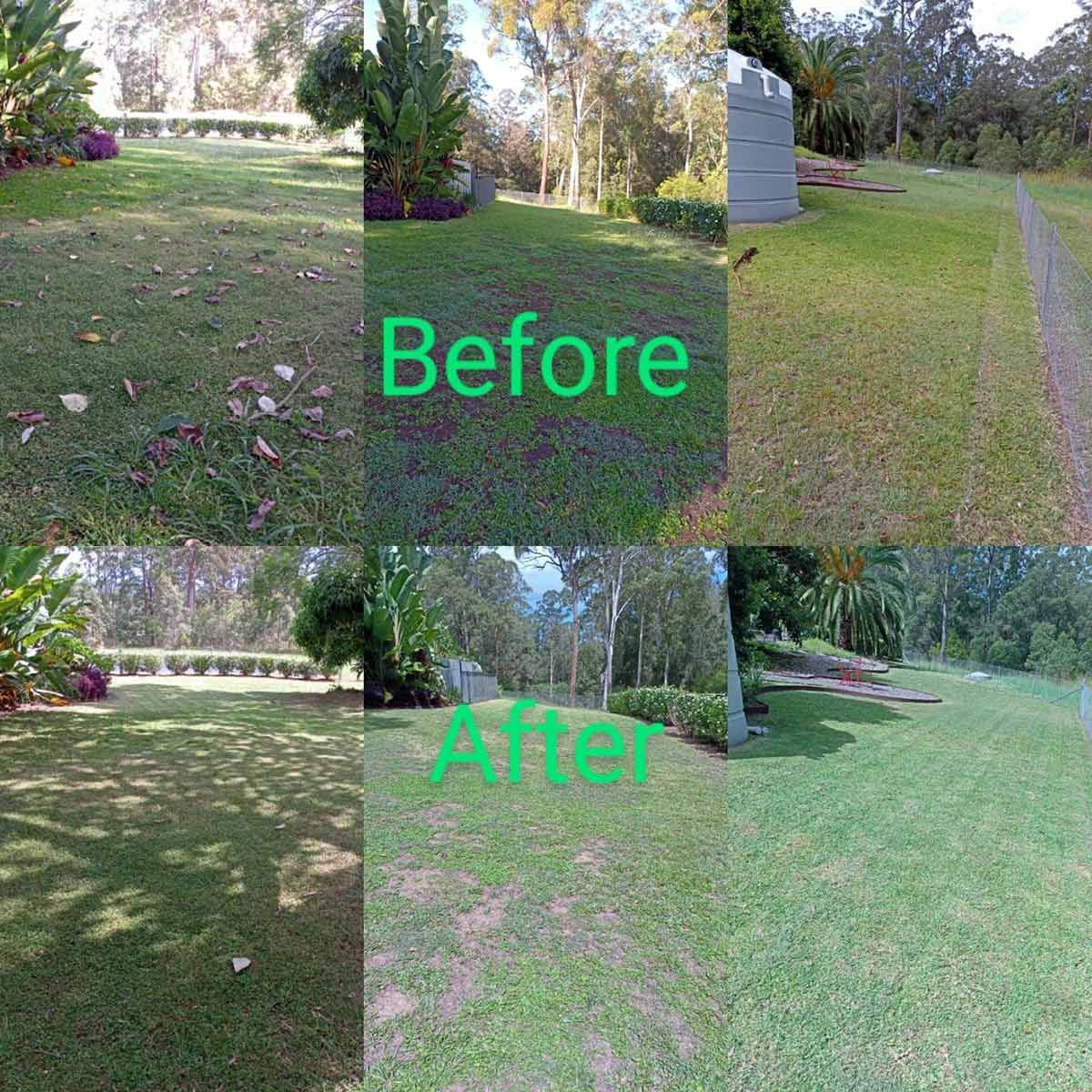 A Collage Of Pictures Of A Lawn Before And After Being Mowed — TJL Lawn Maintenance in Port Macquarie, NSW