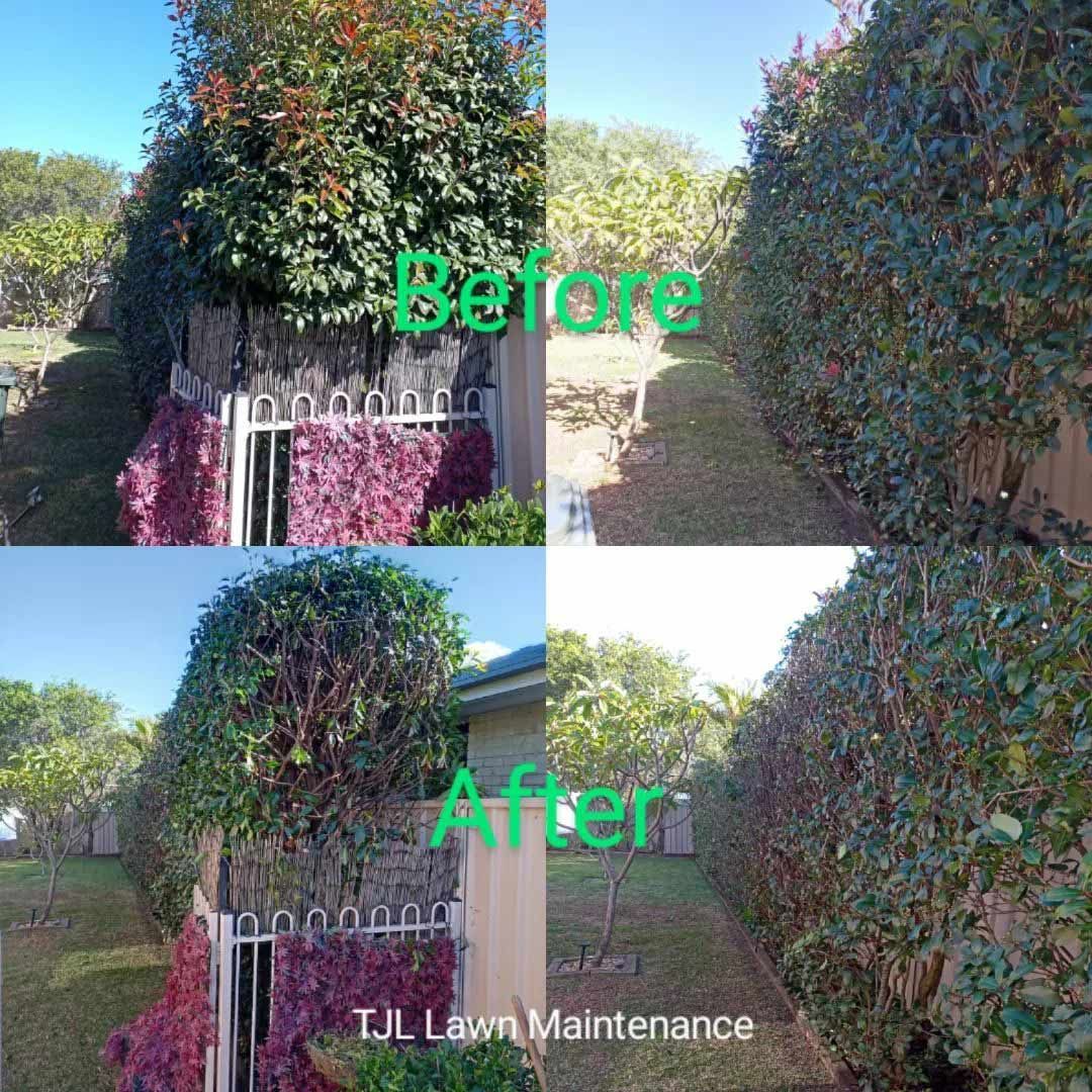 A Before And After Photo Of A Hedge Being Trimmed — TJL Lawn Maintenance in Port Macquarie, NSW