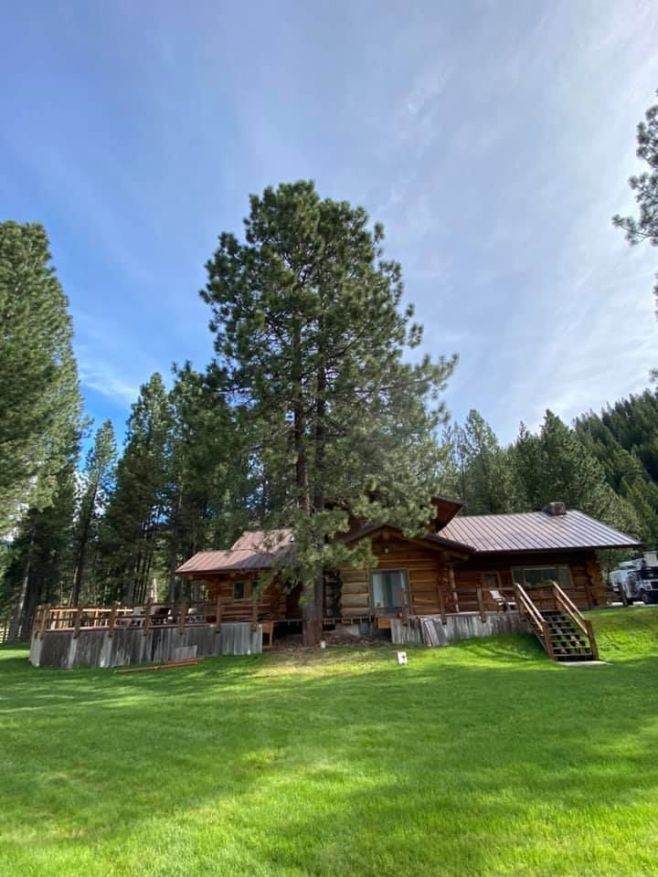 Log cabin nestled among tall trees on a grassy lawn, under a partly cloudy sky.