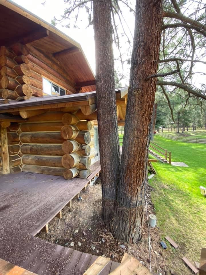Log cabin with a wooden deck, two trees grow next to the building, and a grassy field extends in the background.