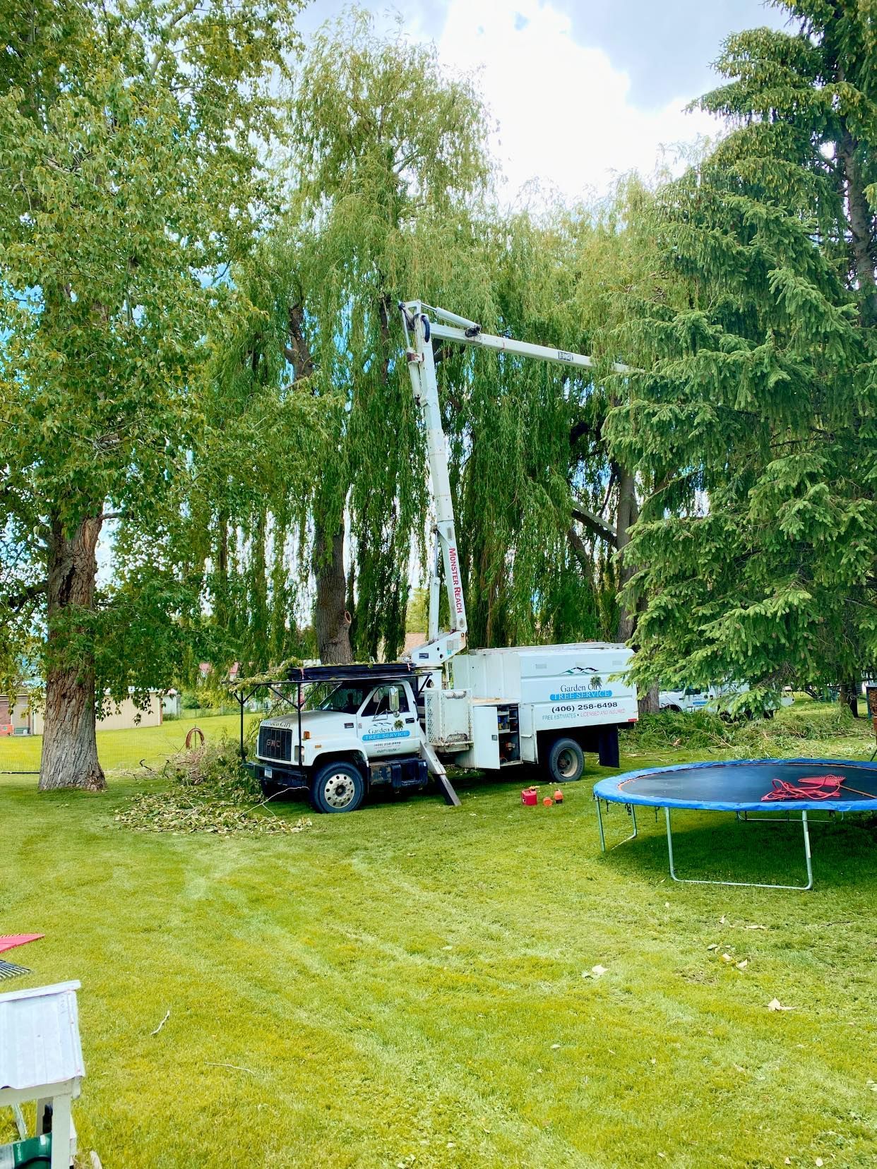 A tree service truck with a raised boom trims a large tree in a grassy yard. A trampoline is in the background.