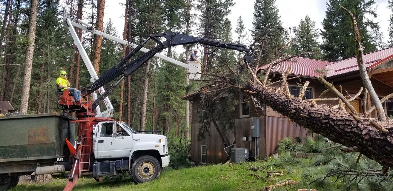 A tree service worker in a bucket truck is removing a large fallen tree that damaged a cabin.