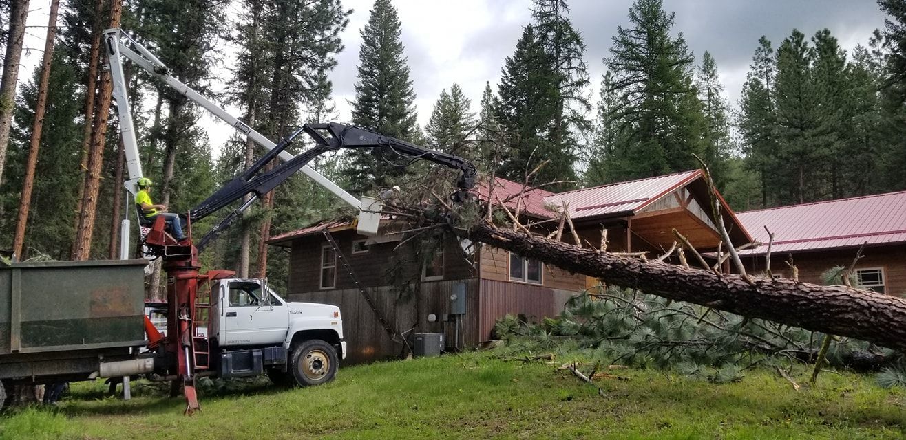 A tree removal truck with a crane is working on removing a fallen tree from the roof of a house in a wooded area.