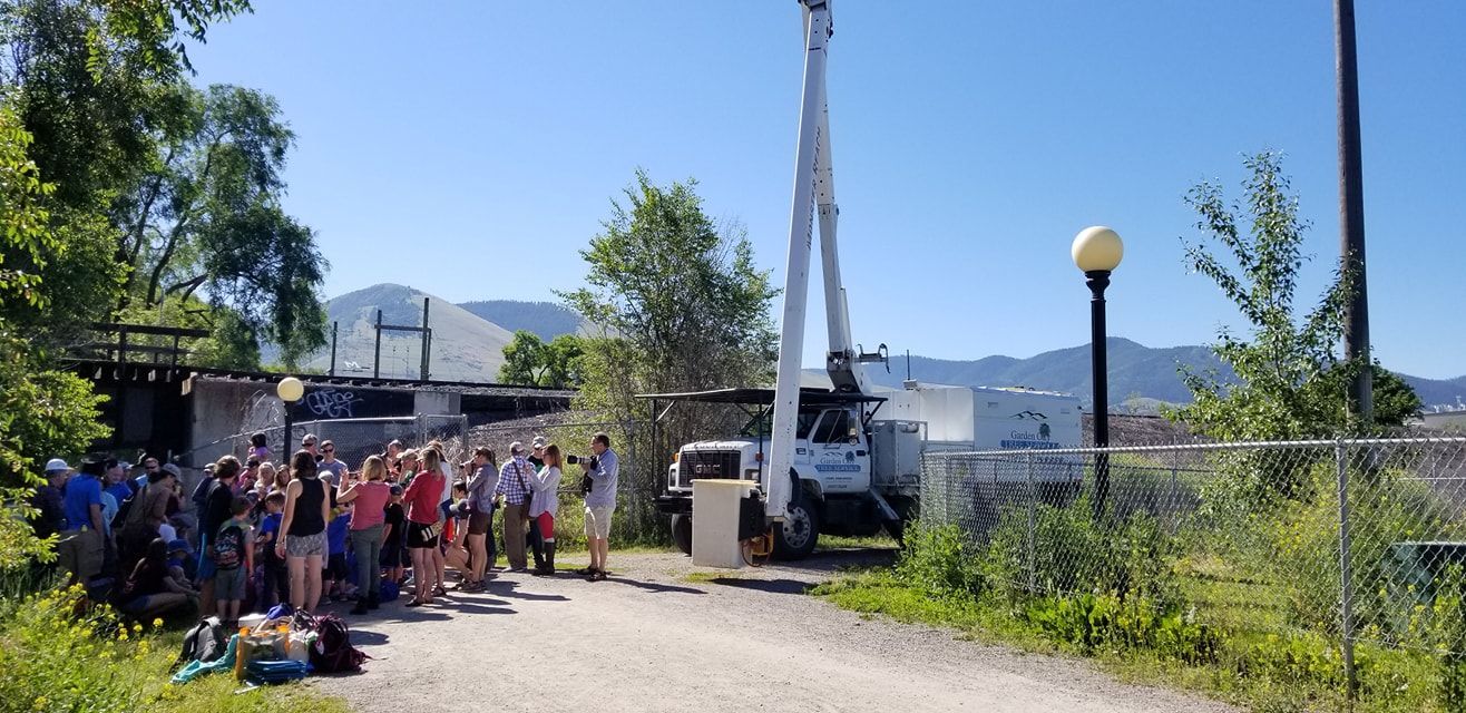 A large group of people wave toward a crane truck. The group stands on a paved path, while the truck works nearby under a clear sky.
