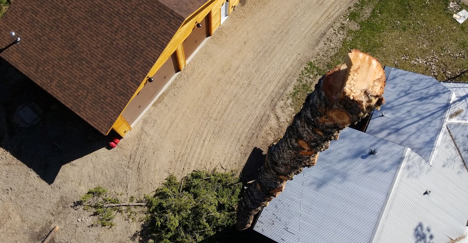 Overhead view of a fallen tree trunk resting on a corrugated metal roof, next to a brown-roofed building and dirt path.