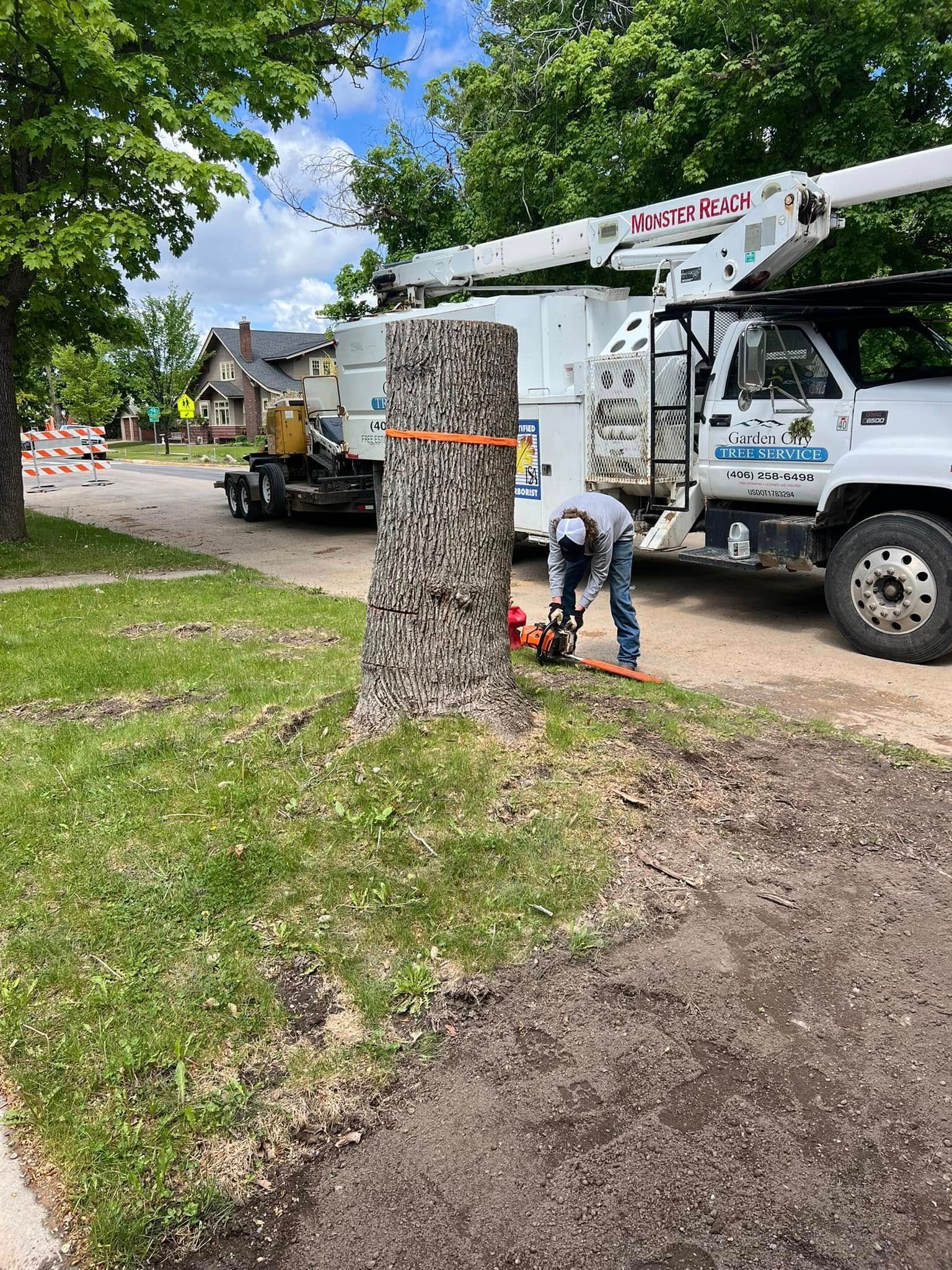 A tree service worker uses a chainsaw to cut a tree trunk on a grassy curb, a truck with a boom arm nearby.