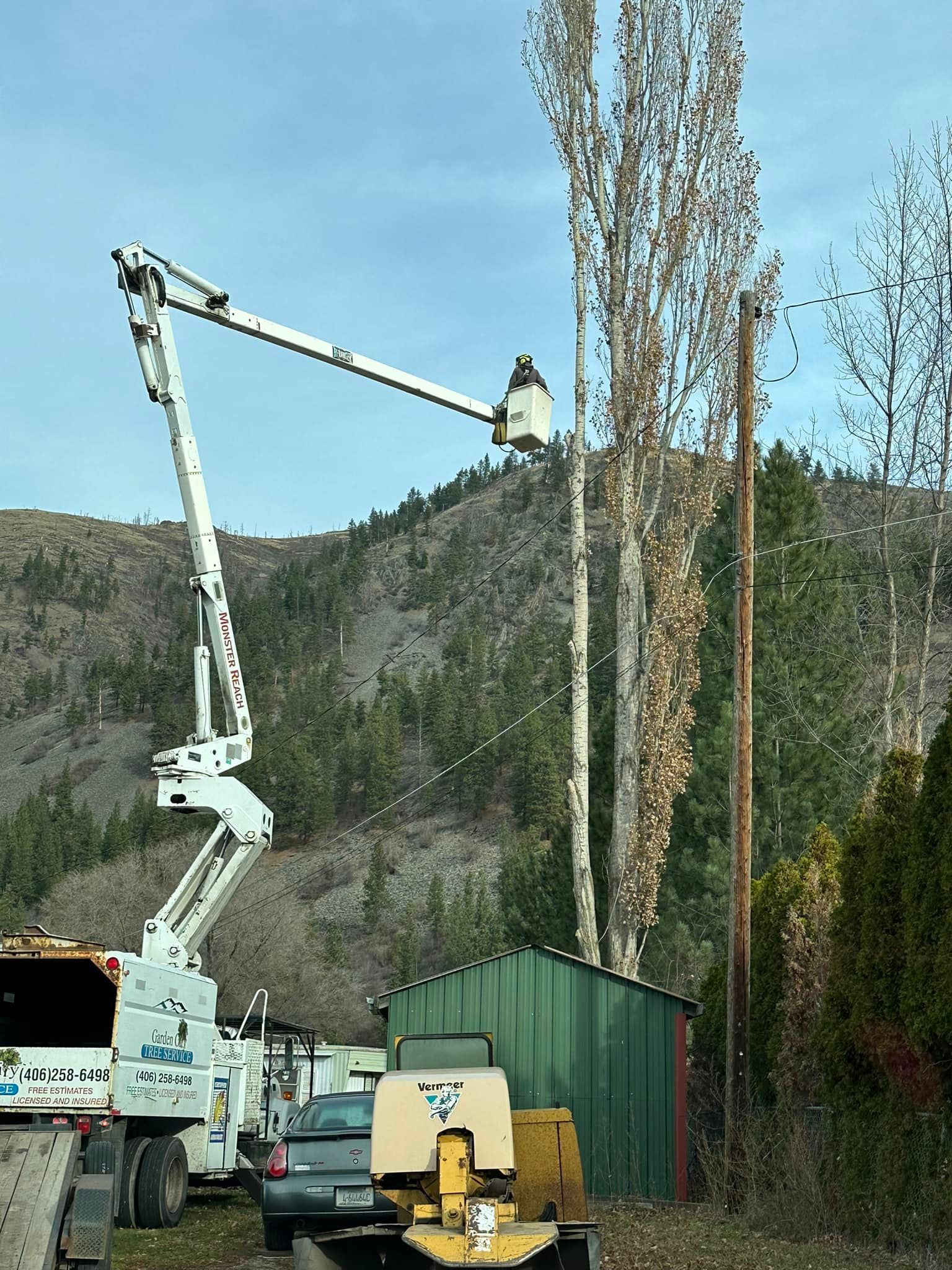 A cherry picker trims a tall tree near a green shed. Other equipment and a hillside are also visible.