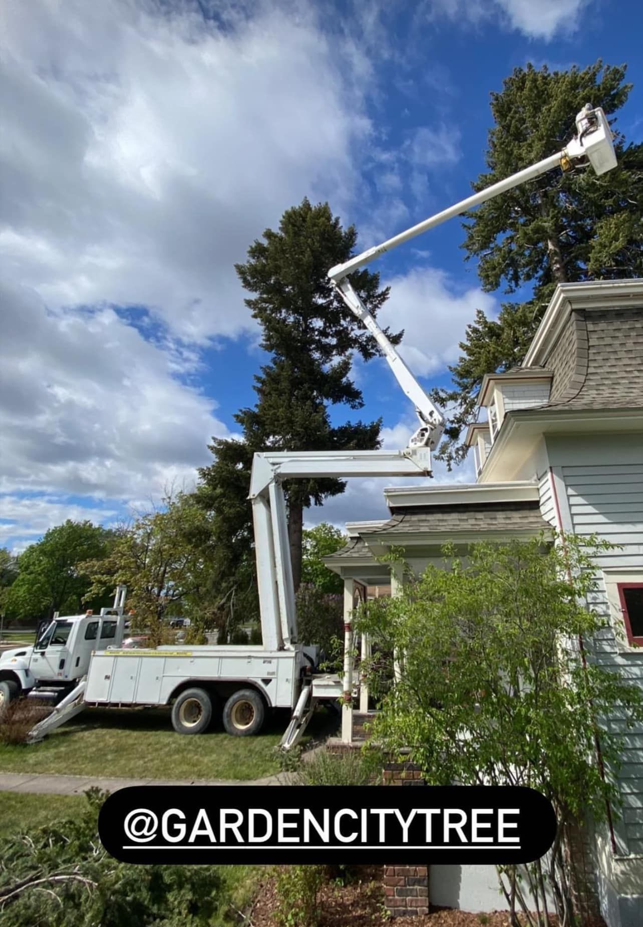 A tree service truck with an extended arm cutting branches near a house on a sunny day.