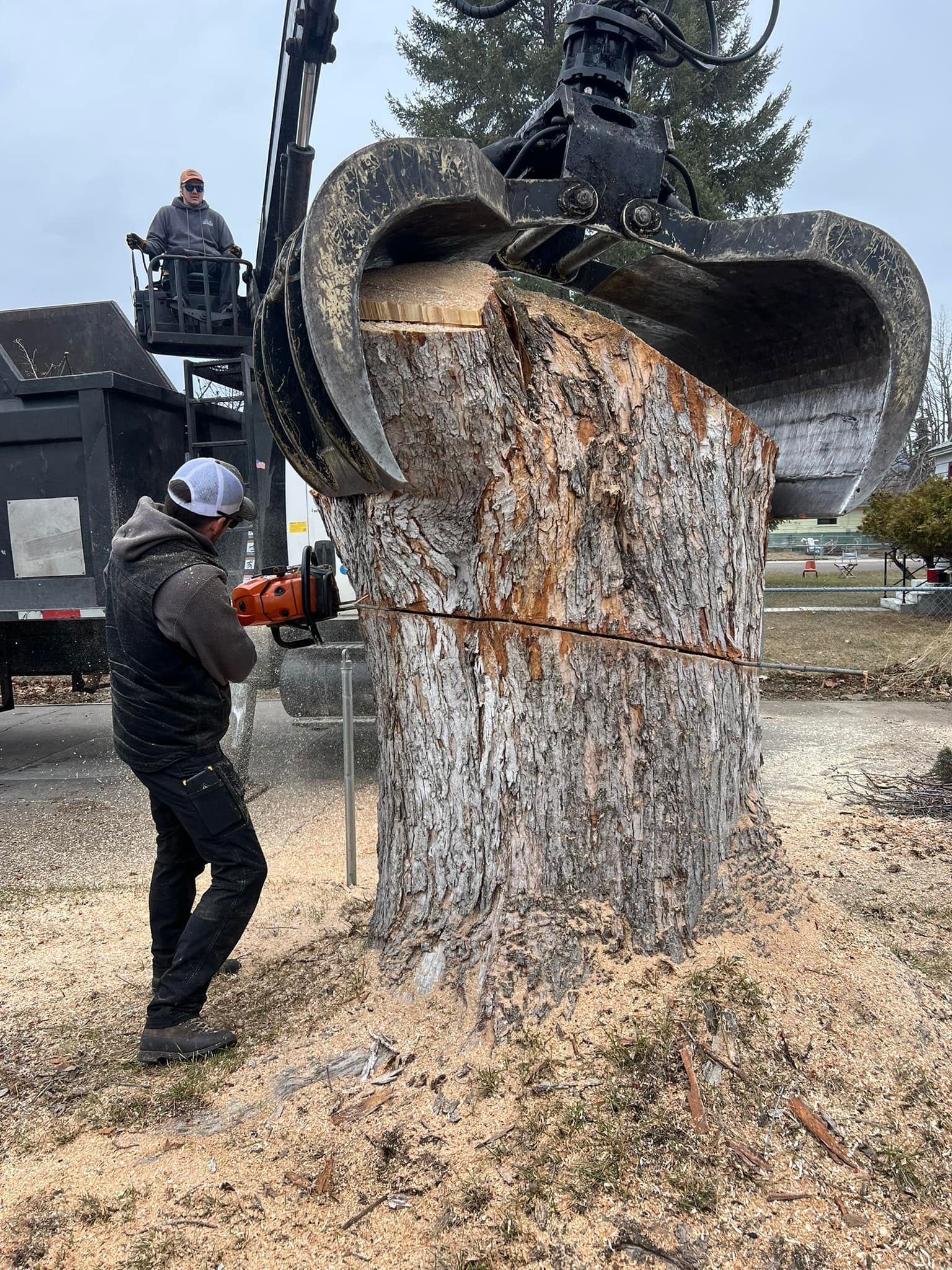 Man using chainsaw to cut tree trunk, with crane arm overhead and another worker in lift basket.