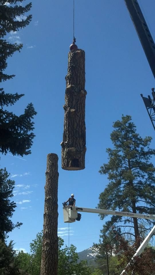 A tall, wooden totem being raised by a crane. A worker in a lift is positioned below the totem.