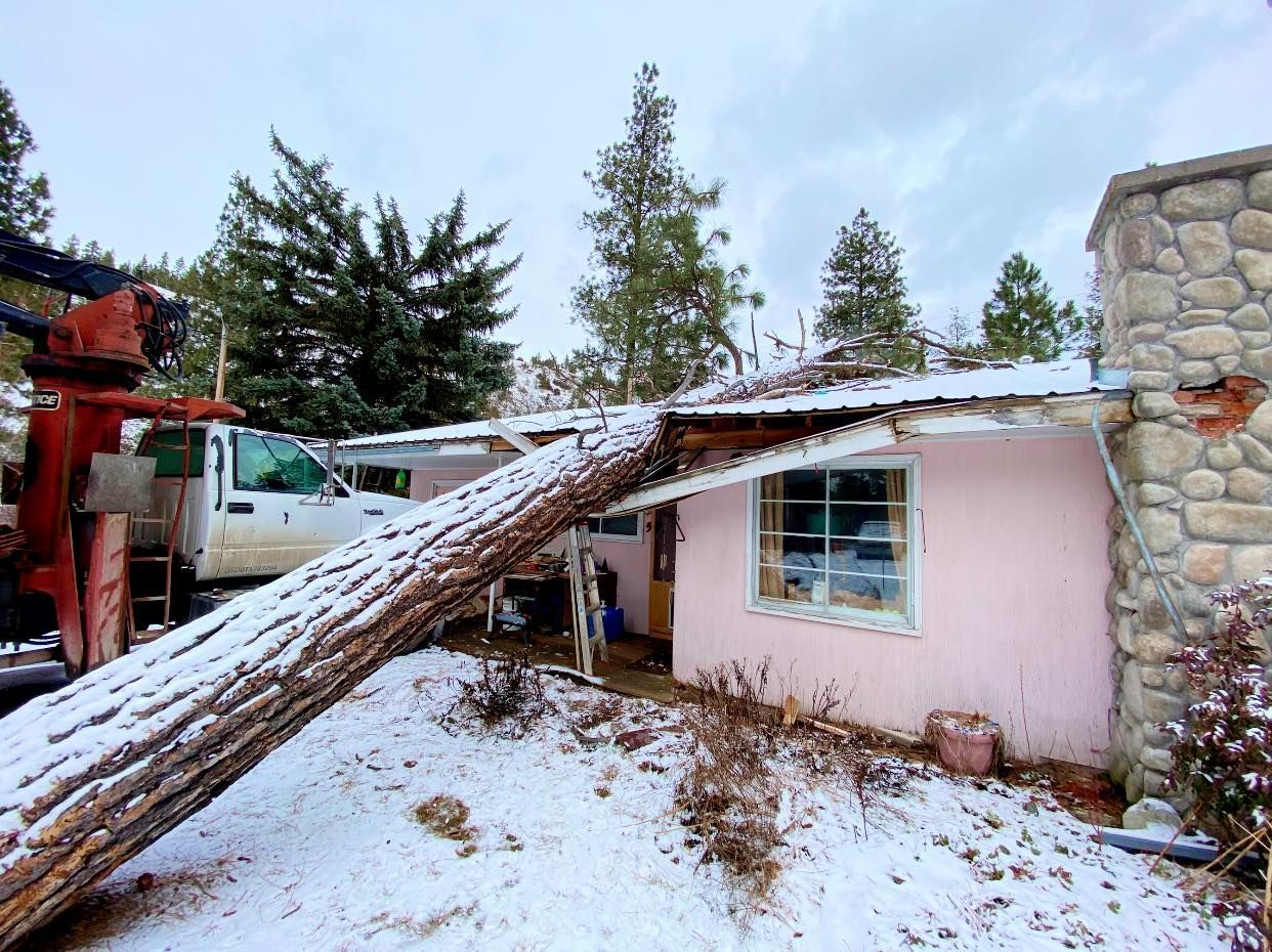 A snow-covered house with a large tree fallen on its roof. A truck with a crane is nearby, likely for removal.