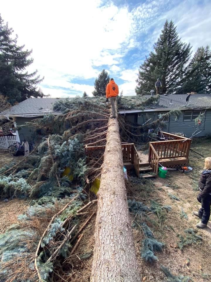 Man in orange jacket walks on fallen tree atop a house; surrounding debris and wooden deck visible outdoors.