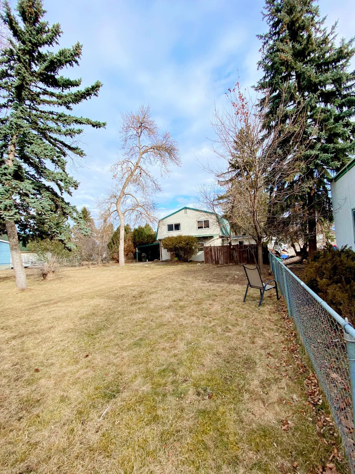 A backyard with brown grass, trees, and a light green house under a partly cloudy sky.