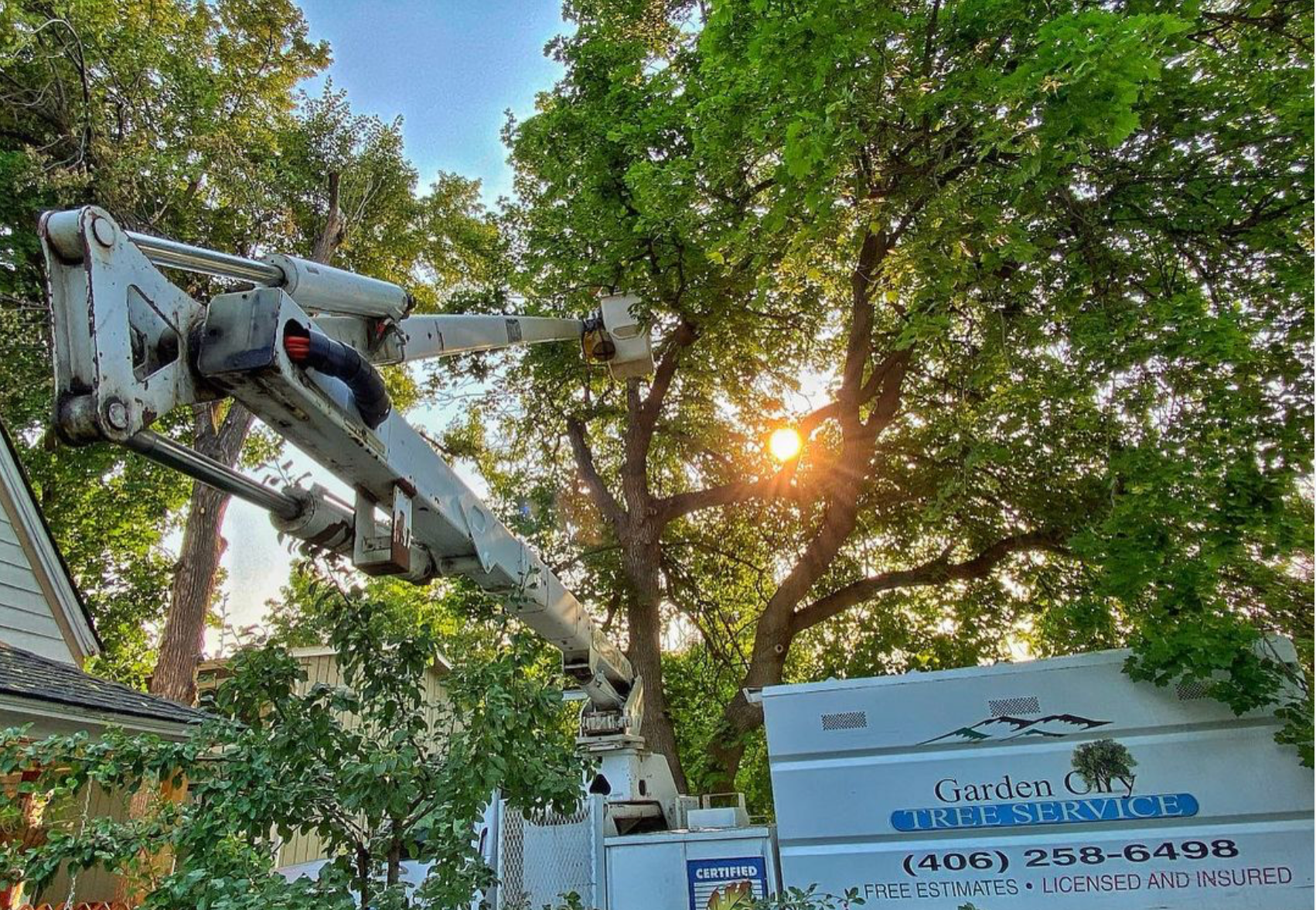 A tree service truck with a raised boom arm trimming a large tree; sunny day.