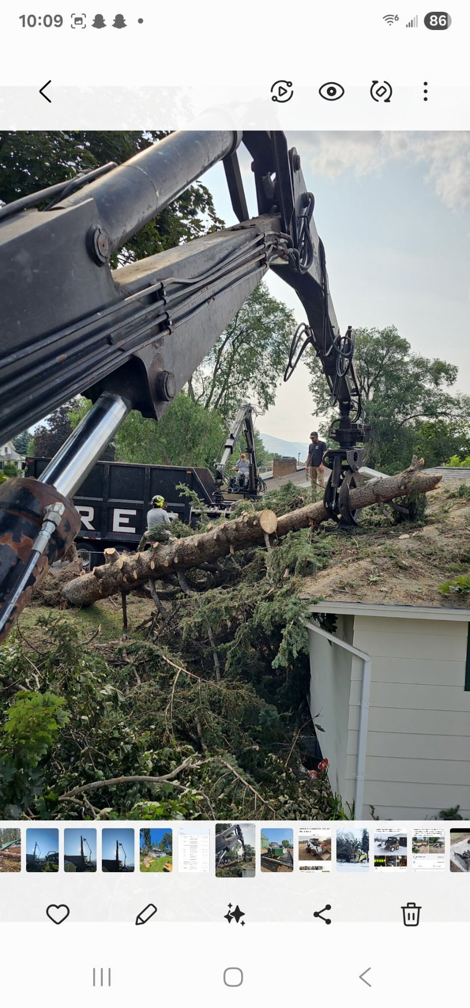 A large crane lifting a tree trunk. The crane is above a building with green foliage surrounding it, and more trees in the background.
