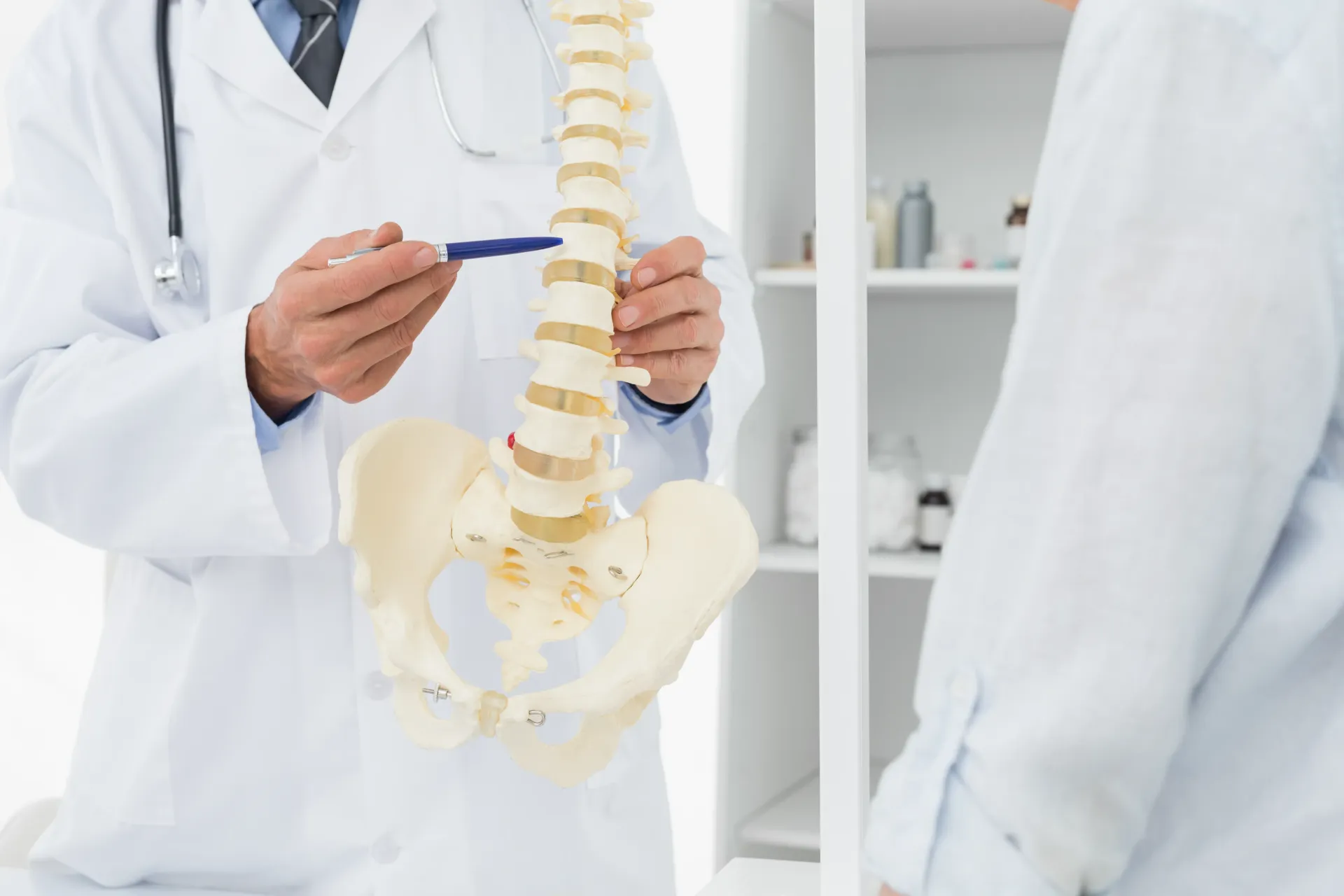 Doctor pointing to a spine model while talking to a patient in an office. — Bourbong Street Physiotherapy Centre in Bundaberg West, QLD