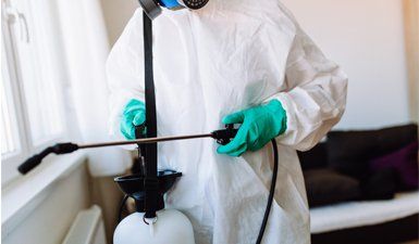Pest Treatments — Exterminator Spraying Pesticide in Weimar, TX
