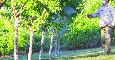 Pest Control — Worker With Pesticide Sprayer In Front Van in Weimar, TX