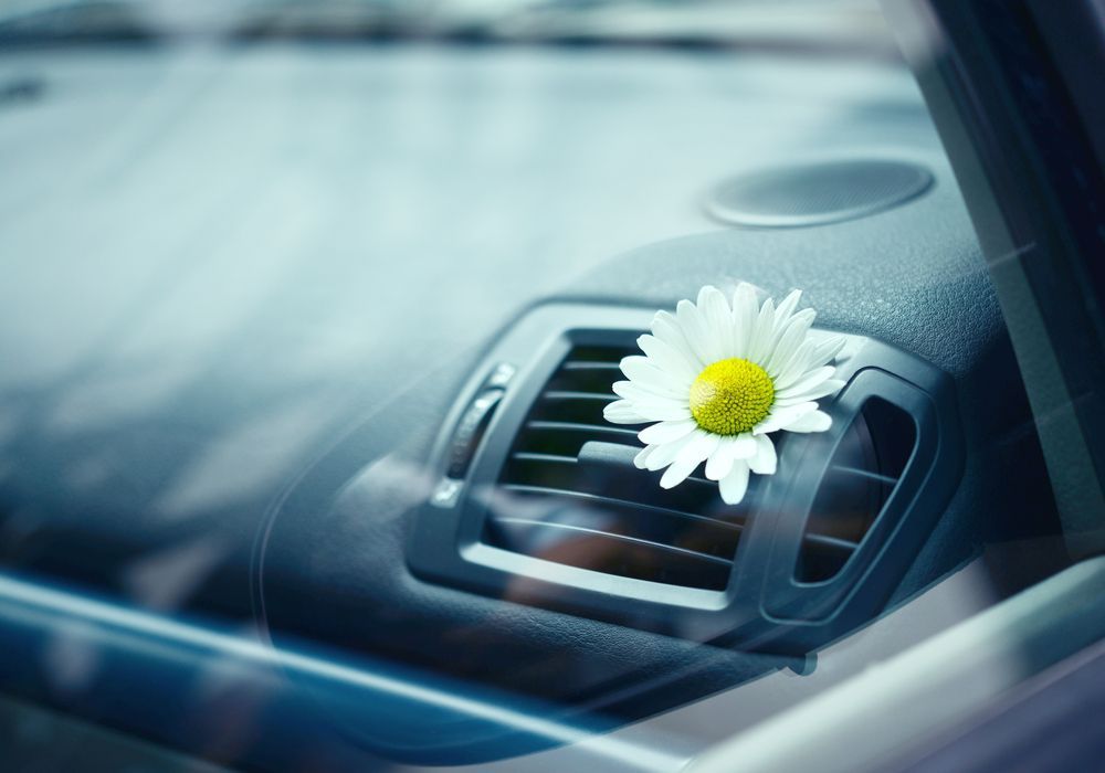 A Daisy is Sticking Out of the Air Vent of a Car — Port Service Centre In Port Macquarie, NSW