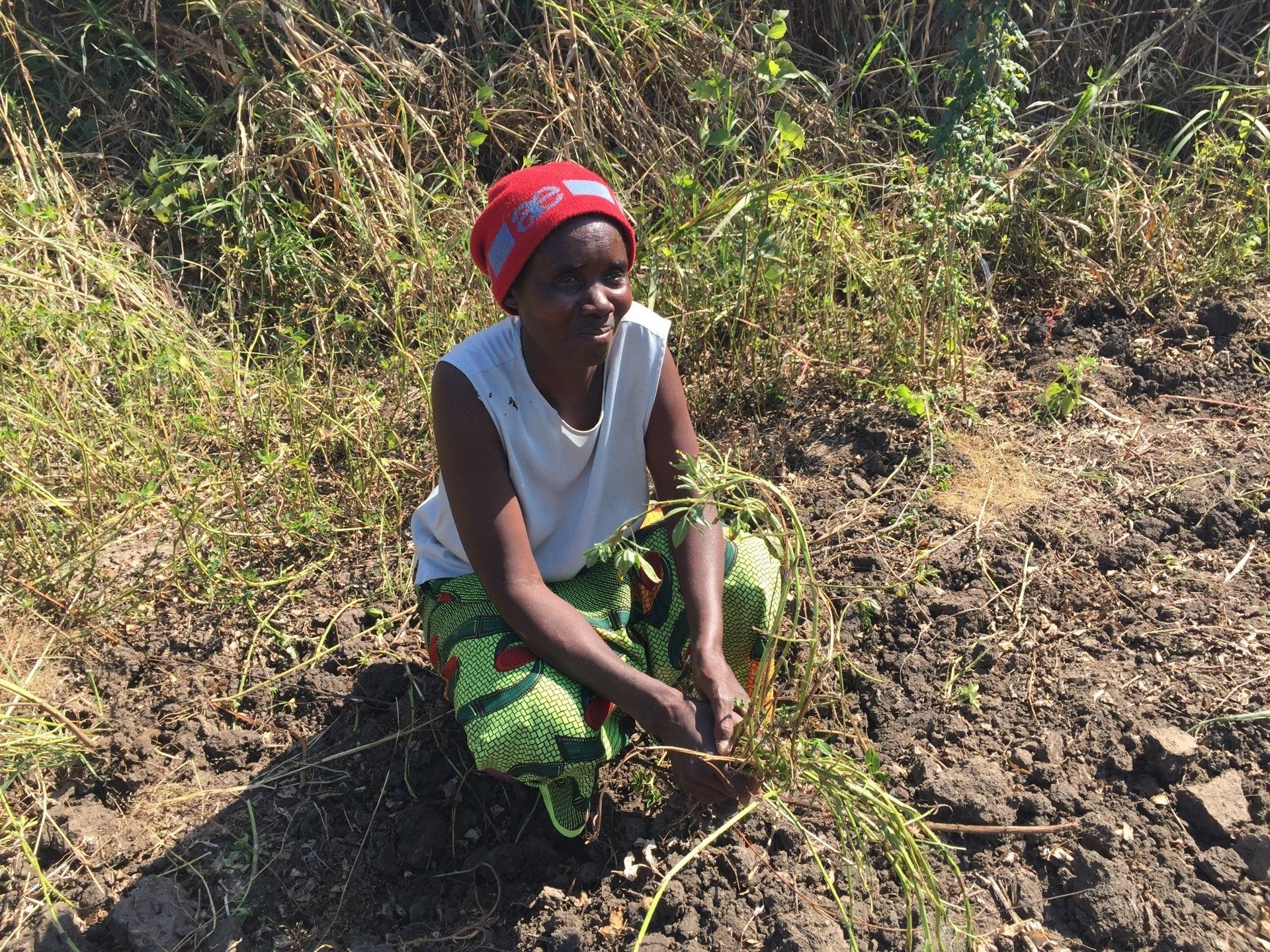 Close-up of a woman at work in a field