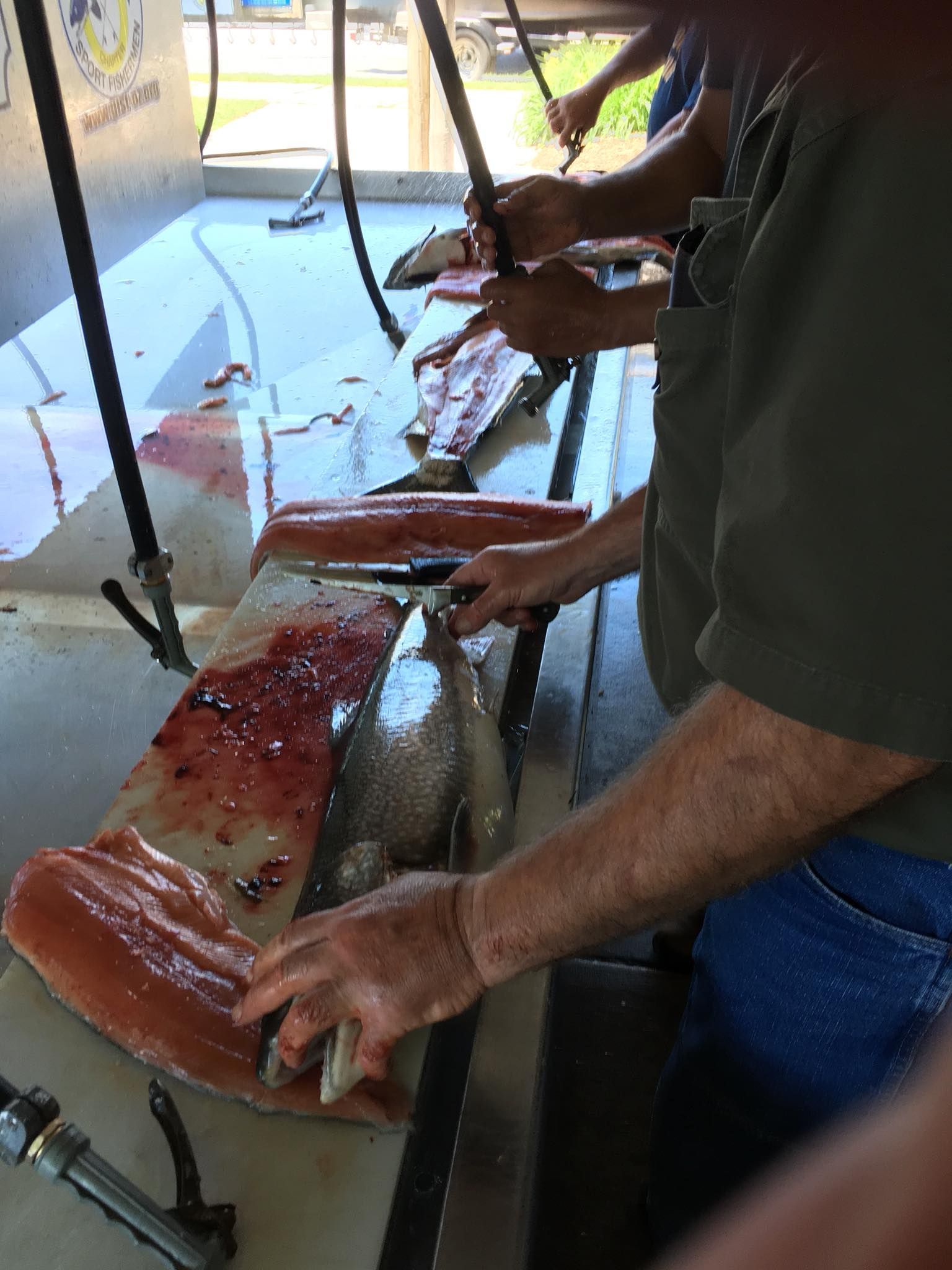 A group of people are cutting fish on a cutting board.