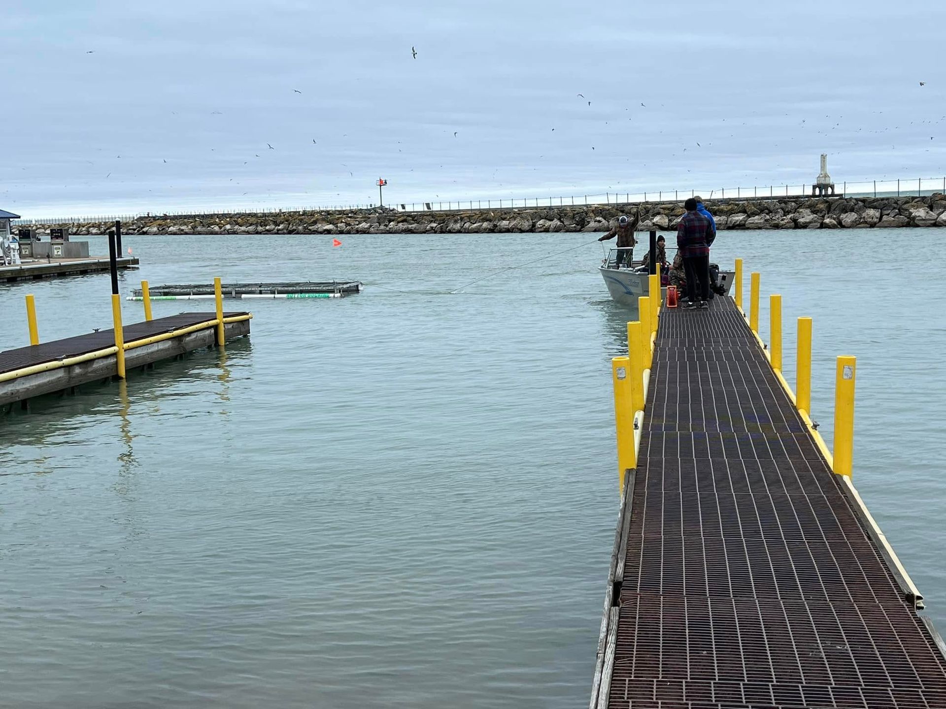 A man is standing on a dock overlooking a body of water