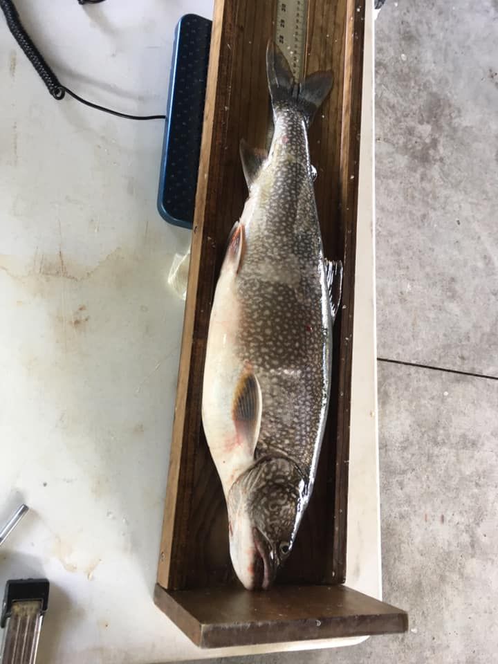 A large fish is sitting on top of a wooden box.