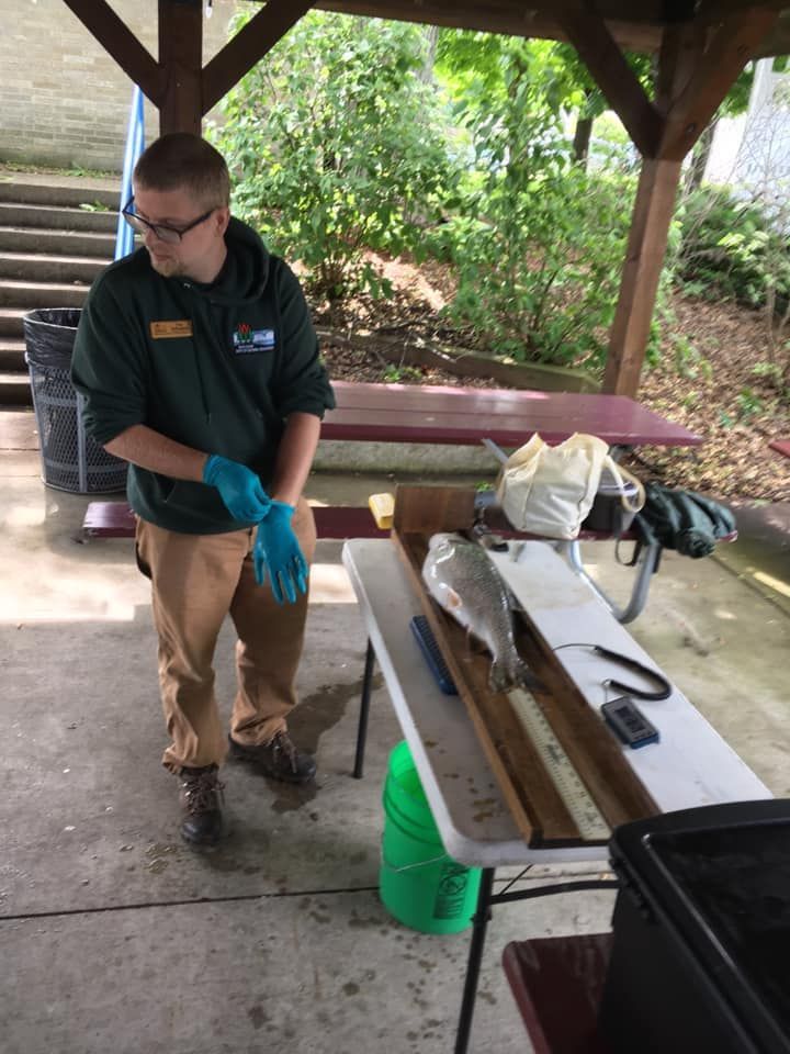 A man wearing blue gloves is standing in front of a table.