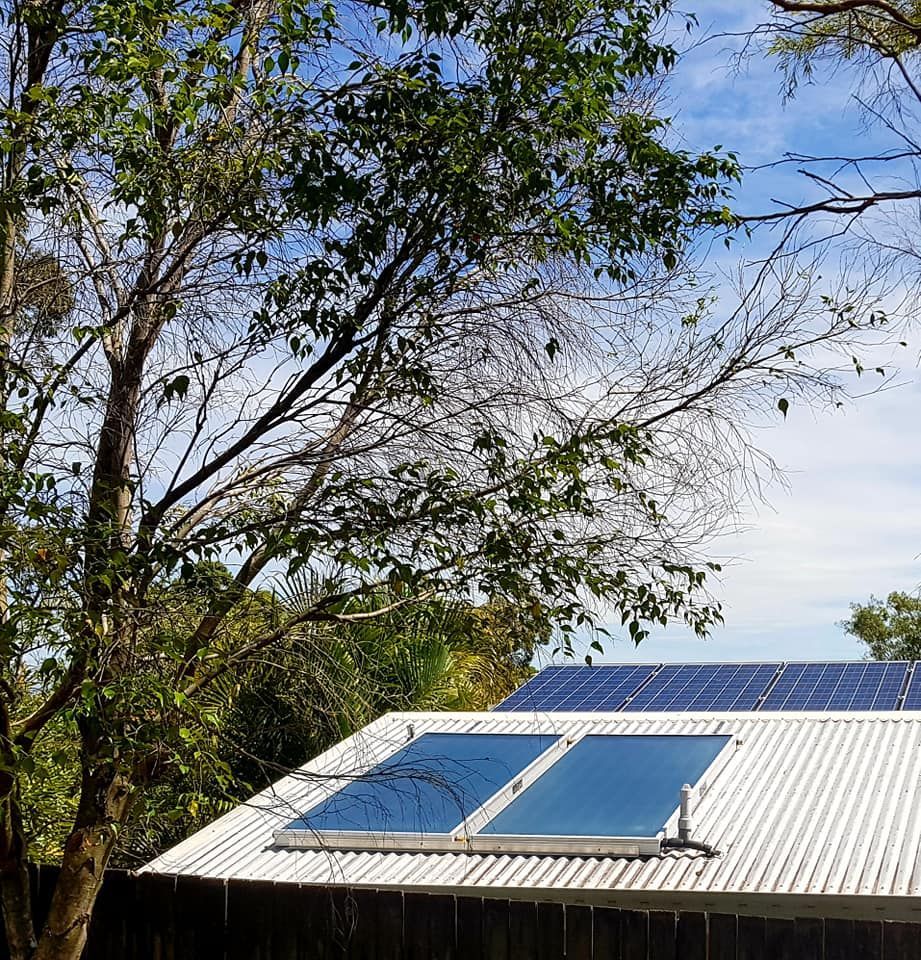Solar panels on a white roof, with a tree in the background under a blue sky. — 24/7 Hot Water in Gympie, QLD