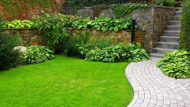 Ten Questions To Ask Your Landscaper